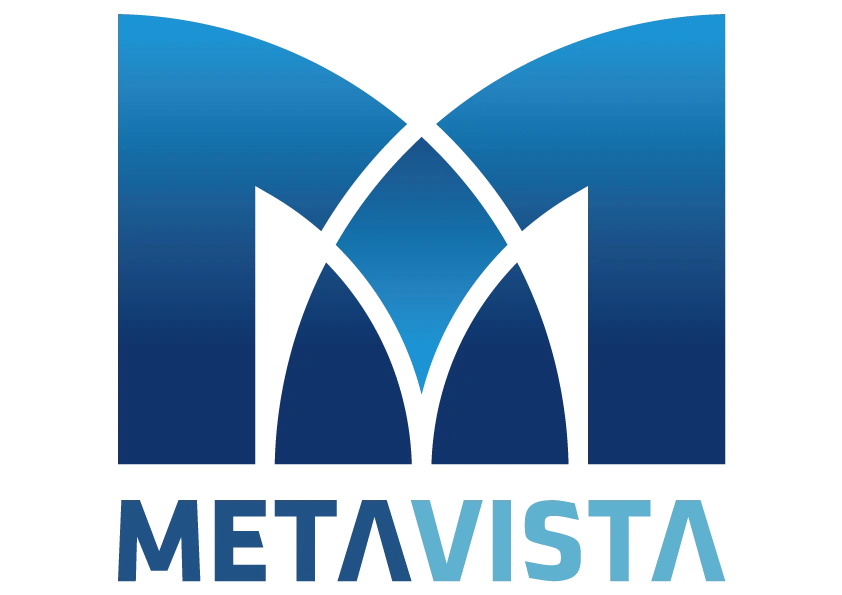 韩国MetaVista公司