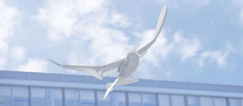 中国造出“信鸽”无人机，敌人很难察觉，却极易遭老鹰捕杀 