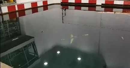 水下滑翔蛇形机器人研究取得进展