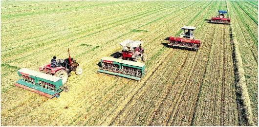 无人机助阵、专家线上解答、自动化播种育苗……山东省各地不误农时 战“疫”不松劲春耕备耕忙