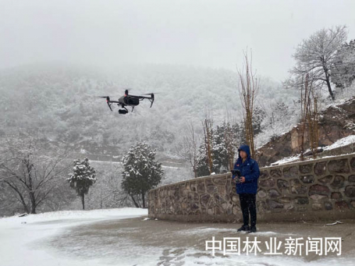 北京海淀区用无人机监测野生动物