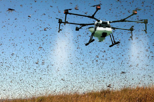 “蝗军来袭”-预估6月4000亿蝗虫将增加500倍！无人机该如何备战！