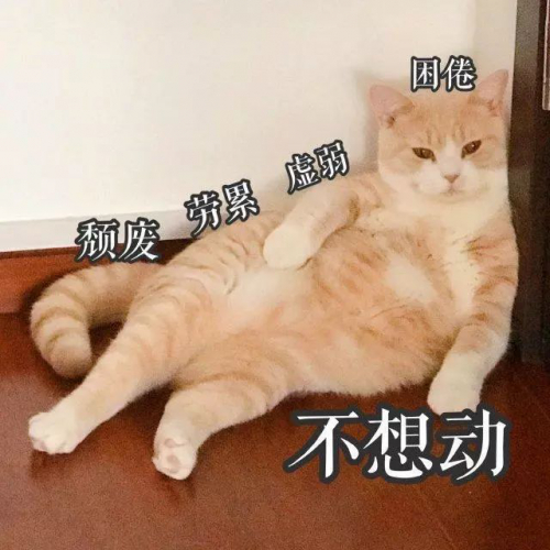 有才华还是太沙雕？外国网友竟用无人机做饭！