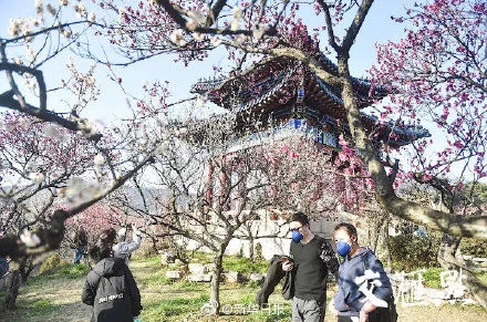 红外影像测温仪，无人机喊话，梅花山景区开放了！