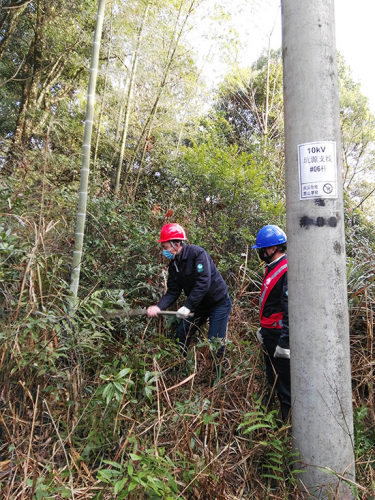 国网漳平市供电公司：“无人机+人工”特巡覆冰线路保安全