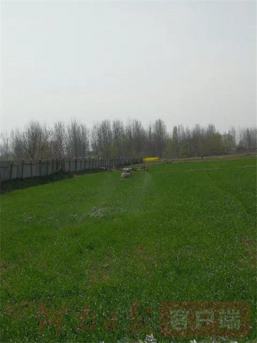 无人机“上岗”，战“疫”春耕两不误