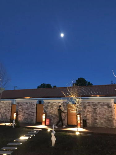 机器人、孤独经济、数字化...酒店无接触服务的3个未来