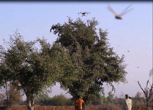 深圳企业好样的，无人机帮巴基斯坦兄弟防治蝗灾