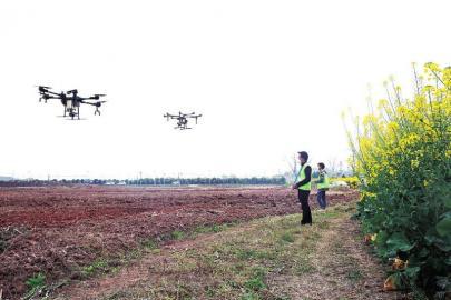 无人机助力春耕 