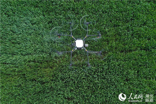 湖北保康：无人机助力春管作业 