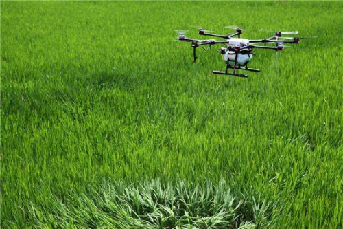 外媒:疫情正快速改变中国农业 无人机迎需求增长
