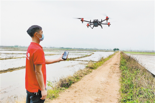 无人机“直播” 这样的播种方式 让水稻种植更省时省力省钱