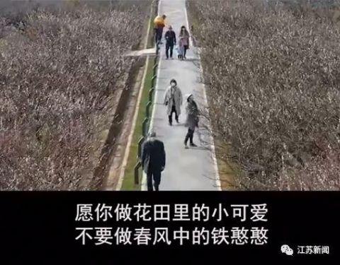 “愿你做花田里的小可爱，不做春风中的铁憨憨！”城管小姐姐又双叒无人机喊话了