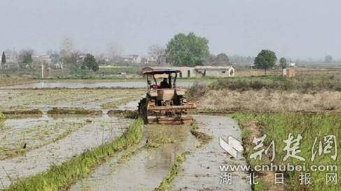 湖北鄂州掀起春耕备耕热潮 50台硬核无人机成春耕主力军