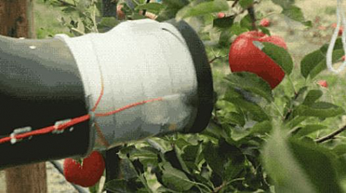 机器人正在改变农业的未来