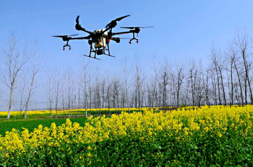 漳湖镇：无人机值保“飞防”增效助耕