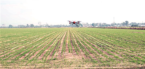 无人机为春耕“添翼”