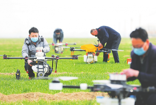 阜城县防疫春管两不误使用无人机喷洒农药