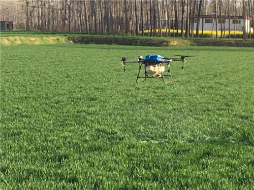 春耕正当时，防疫拒松懈 临颍县无人机成为小麦病虫害防治的主力军