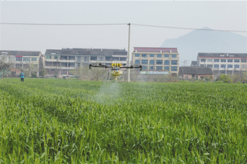 无人机飞向农田