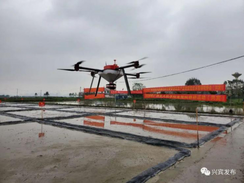 无人机播种，助兴水稻生产！