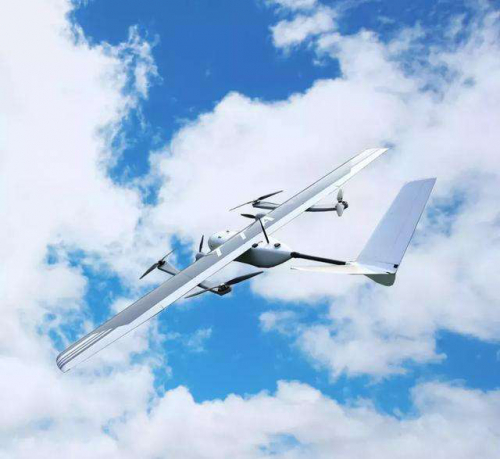 无人机升空巡查为百万候鸟迁飞“护航”