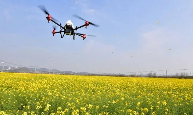 厉害了！巢湖植保无人机助力现代农业发展！