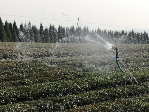 赞！无人机管理茶园，开启茶园智能化新模式