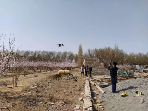 托克逊县杏树首次尝试无人机授粉 
