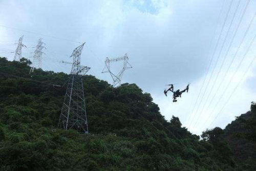 国网铜川供电公司“无人机+人巡”保障穿越林区线路安全运