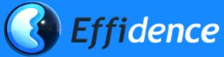 法国 Effidence 公司