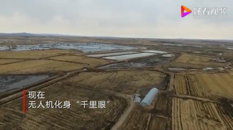 “高科技”土用法：秸秆禁烧巡查用上无人机