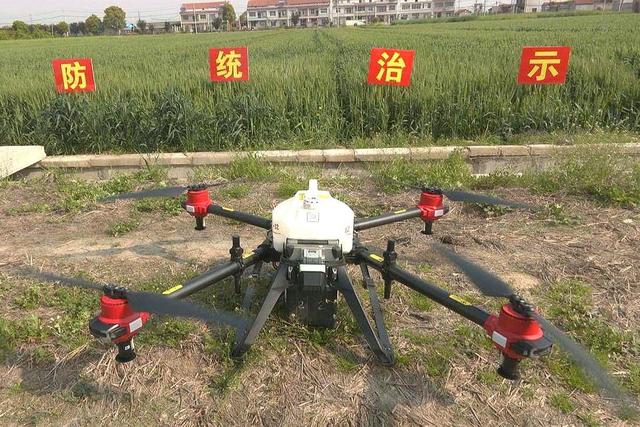 抓生产，武汉新洲破月村无人机助力，打赢小麦种植攻坚战