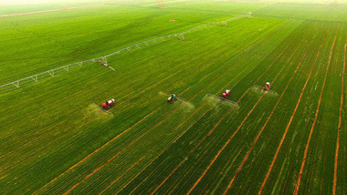 丹阳市40多架无人机麦田显神威