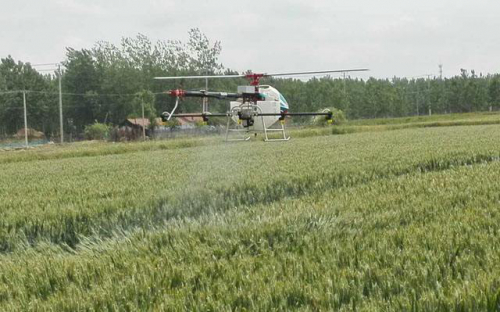 宜宾江安：植保无人机飞防作业 助高粱生产丰收