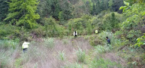 无人机搜救犬出动！赣州失踪4天的3岁男孩找到了