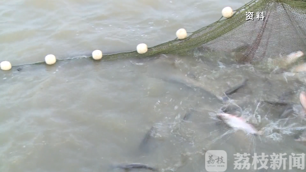 无人机每日巡查 长江禁捕不留死角 