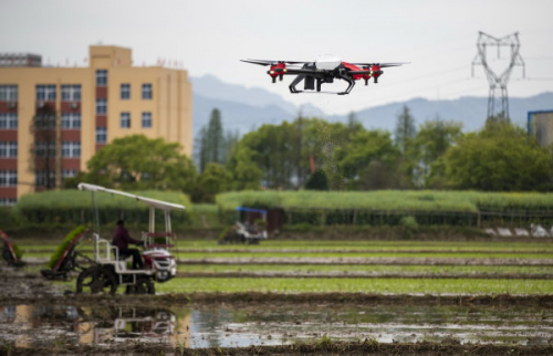 瑞安农民“慧”种地：无人机5分钟播种2亩地