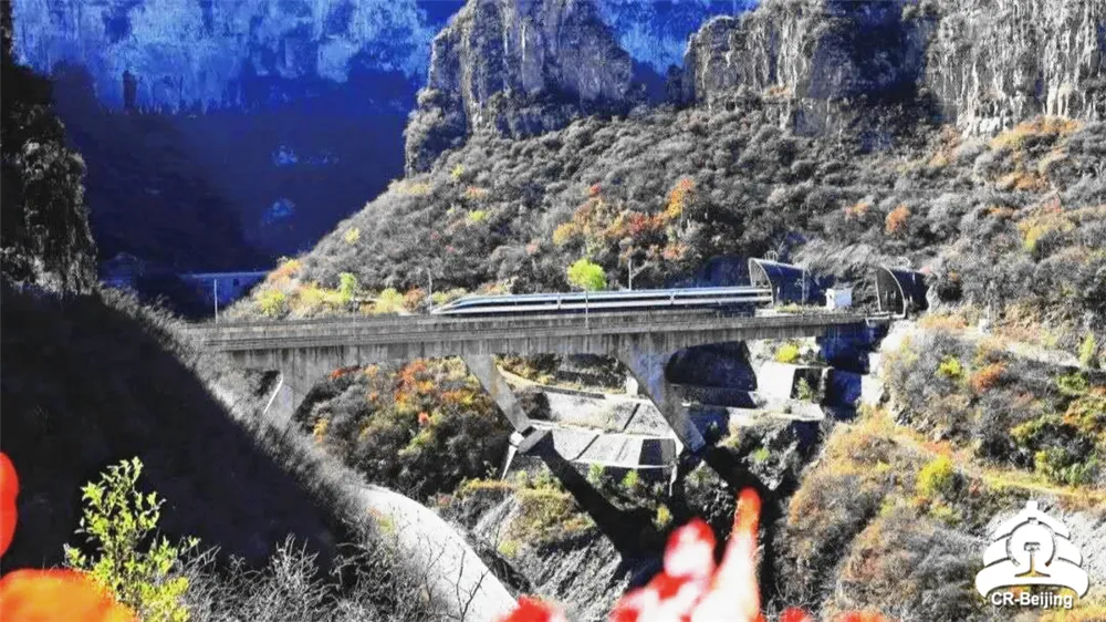 无人机带回重要证据！这些事儿再也藏不住了