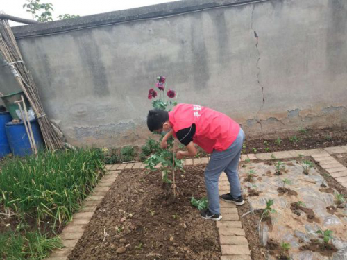 钟祥市双河镇利用无人机开展禁毒铲毒工作 