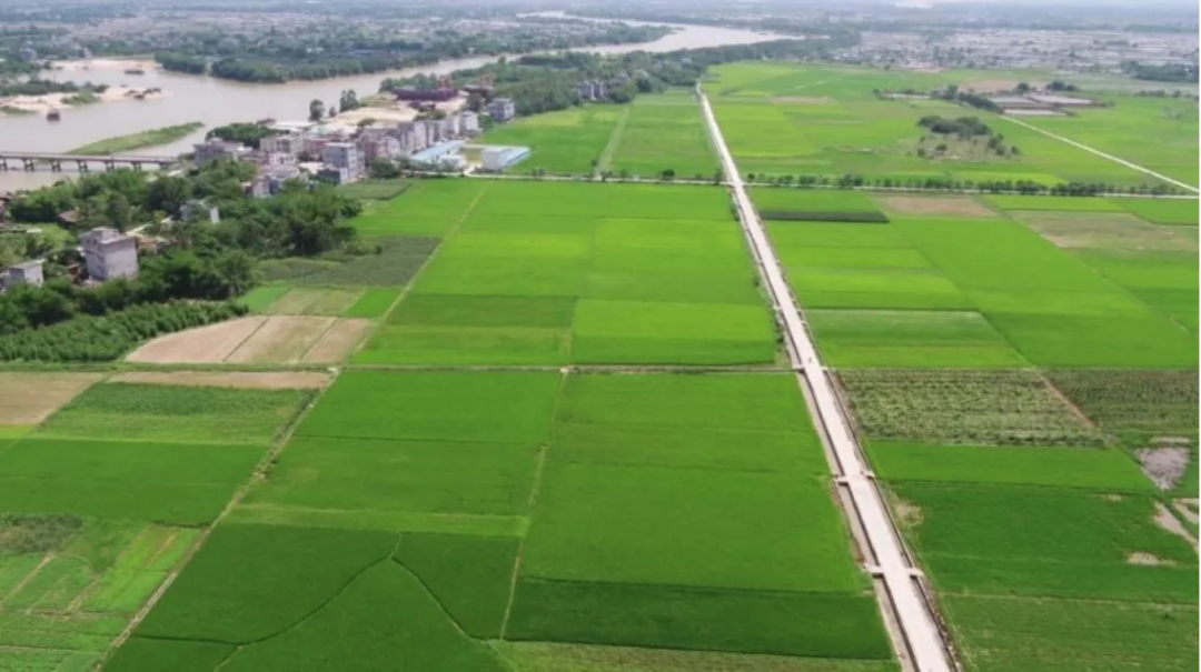 统准粮食数据有了“新武器”：无人机、大数据、智能化