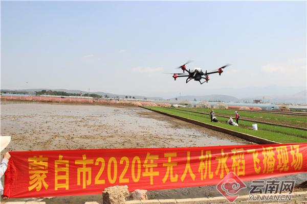 酷！蒙自无人机播种水稻 人工成本降低92.5%