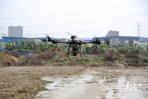 东莞无人机“直播”助春耕