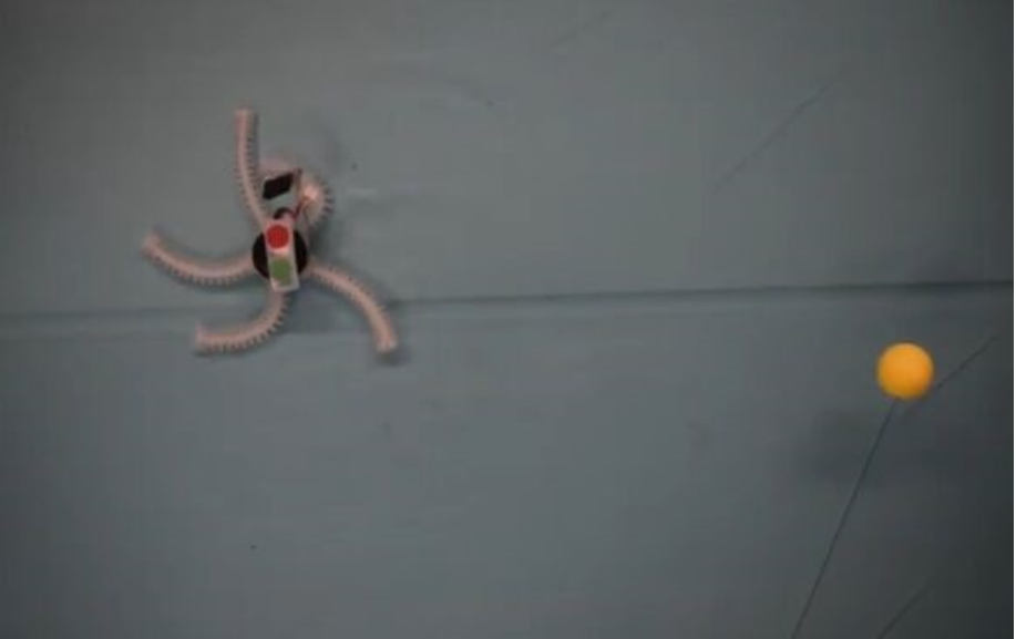海蛇尾灵感开发软体机器人：拥有五条腿可在水下自由行走