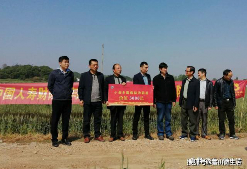 与儿街镇开展无人机防治小麦赤霉病工作 