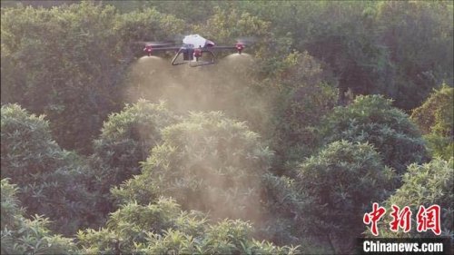 从两腿泥到指尖忙 无人机渐成温州农户春耕“新宠”