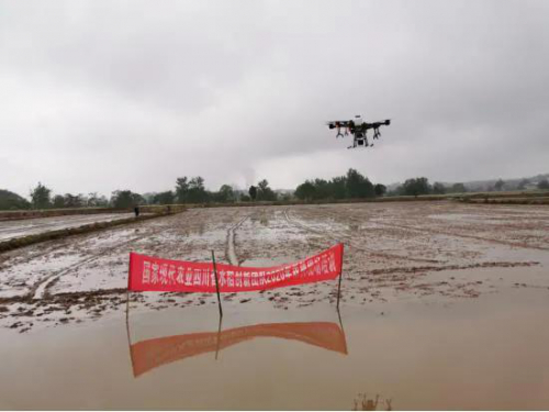 无人机好用成本高 农机服务机制待提升 
