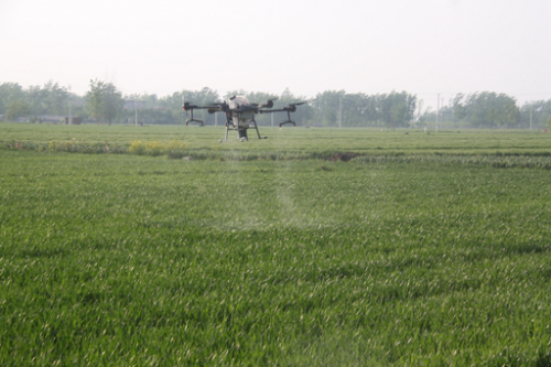 郯城县杨集镇：智能“无人机”麦田管理忙