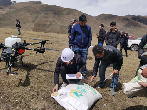 金川县首次开展无人机草原修复治理和改良作业 