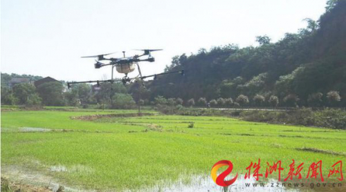 田间“课堂”示范无人机治虫